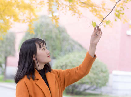 菲律宾旅游签入境需要的材料都有什么，都有什么限制吗_菲律宾签证网